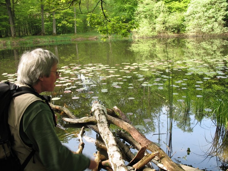 2006 05 Bonne mare 11
